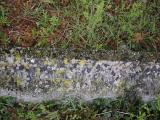 image of grave number 807794